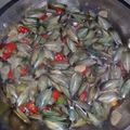 Cooksnap dari Manto Cuy untuk resep Kerang hijau saus tiram pedas