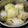 รูป Cooksnap ของ Mo Sorasak เมื่อเขาทำ ผักกาดขาวห่อหมู