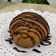 صورة من Ruqaya Al-hinaia، شاركها بعد تجربة وصفة الباباروتي ☕️ مطبخ shoroq.kitchen