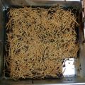 Cooksnap dari Ninik Rahayu Ningrum untuk resep Brownies Panggang