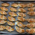 kisördög Cooksnap-ja, amikor elkészítette a(z) Sajtos-sonkás kifli receptet.