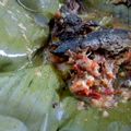 Cooksnap dari Cindy untuk resep Pepes ikan asin dan cumi asin puedassss
