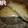 El cooksnap de montse-2009 cuando hizo Sandwich mixto.