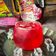 Cooksnap Dapur Yusfarisyia semasa beliau membuat Shirley Temple Sirap Sarawak Mocktail.