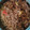 Asma Parveen's cooksnap of when they made ராகி தக்காளி சேமியா(ragi tomato semiya recipe in tamil).