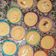 El cooksnap de Gaby Rodriguez Rossi cuando hizo Muffins de harina de coco y naranja 🍊.