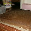 Cooksnap dari Prisilia Anarky untuk resep Nutrijell Cake