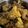 Cooksnap dari midichlorians untuk resep Recook Ayam Goreng Ungkep (Bumbu Kuning)