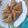 @Rahma Barde's cooksnap of when they made Samosa.