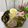 Cooksnap dari Silvy Arundita untuk resep Hakata Ramen rumahan/ramen susu