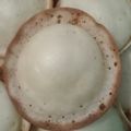 Cooksnap dari Utie untuk resep Kue Apem Panggang