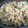 Geeta Khurana's cooksnap of when they made Macaroni.