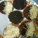Cooksnap dari rita untuk resep Martabak Mini (Marni) Anti Gagal