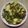 shun kuo 的 沙茶蒜末羊肉炒小白菜 cooksnap