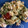 El cooksnap de NCC cuando hizo Pasta de salmón, espinacas, cherry con queso feta.