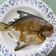 騰駿馬迷 的 香煎白鯧魚 cooksnap
