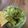 Cooksnap dari Fardy Rizka untuk resep Guacamole (Selai Alpukat)