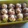Cooksnap dari Tary Kayla Sawali untuk resep Nastar doggie isi coklat (coktar)