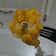 Cooksnap dari mellyna untuk resep Pisang Goreng Madu ala bu Nanik