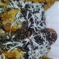 Cooksnap dari nurul isti untuk resep Roti tawar pisang gulung coklat