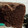 El cooksnap de Caro Cab cuando hizo Bizcochuelo de chocolate Fácil y Esponjoso sin leche.