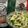 El cooksnap de Berenice Jasso cuando hizo Ensalada de aguacate con aderezo de crema y amaranto con chía. México.