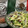 El cooksnap de Berenice Jasso cuando hizo Ensalada de aguacate con aderezo de crema y amaranto con chía. México.