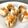 Cooksnap dari Angie untuk resep Dimsum