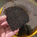 Cooksnap dari Farydah Widodo untuk resep Bolu Ketan Hitam Panggang Super Moist (Full Tepung Ketan)