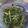 Cooksnap dari Eka P. Sari untuk resep Kangkung Belacan (kangkung terasi)