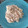 El cooksnap de Juande Ramirez Dominguez cuando hizo Risotto de setas y gambas.