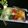  KK 's cooksnap of when they made Mango Salsa #MangoTango.