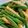 Vicky Hong 的 蒜香四季豆玉米筍 cooksnap