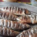 Cooksnap από tzoulitsa στη συνταγή Ψάρια ψητά