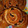 El cooksnap de debasis debasis cuando hizo Caracolas de pasas con nueces (kanelbulle).