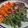 Cooksnap dari Soegianto untuk resep Salmon honey soysauce