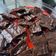 Cooksnap dari Sarah untuk resep Crispy Brownies Cookies ala Lemonilo
