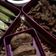 Cooksnap dari Indrayuli Mulyadi untuk resep Honey Chicken Teriyaki (easy)