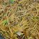 Heenaa का कुकस्नैप जब उन्होंने चाउमीन(Chowmein recipe in hindi) बनाया था।