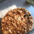 Nancy Hann's cooksnap of when they made Granola (Apple Spice).