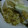Cooksnap dari Dewi "Uwhie" untuk resep Nasi Goreng Kuning