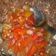 Cooksnap dari yanti aja untuk resep Sambal Matah / Dabu-dabu
