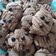 Cooksnap dari Risma untuk resep Oat meal cookies with raisin and Choco chips