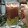 Cooksnap dari Nigu Kitchen untuk resep Es Kocok Pokat Milo