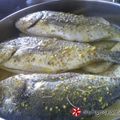 Cooksnap από elenixania στη συνταγή Τσιπούρες με δενδρολίβανο και μουστάρδα