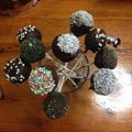 Cooksnap από FILIPPIA στη συνταγή Pop cakes με μερέντα