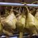 Cooksnap dari Annisa Shab untuk resep Ketupat