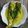 Cooksnap Nur Nadiah semasa beliau membuat Gulai Lemak Ikan Kembung dan Terung #Perak #RayaHiteaPertama.