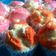 Cooksnap dari Oraonok Jenenge untuk resep Bolu kukus