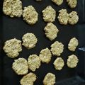 El cooksnap de Florencia Lucena cuando hizo Galletas de avena, banana y semillas.